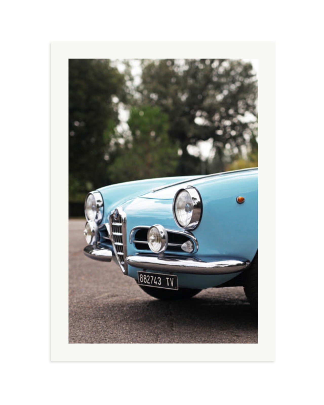 Alfa Romeo Giulietta Spider Print Only / XXL