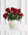 Poinsettia Artificial Plant Red