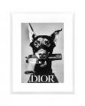 Dior Dog