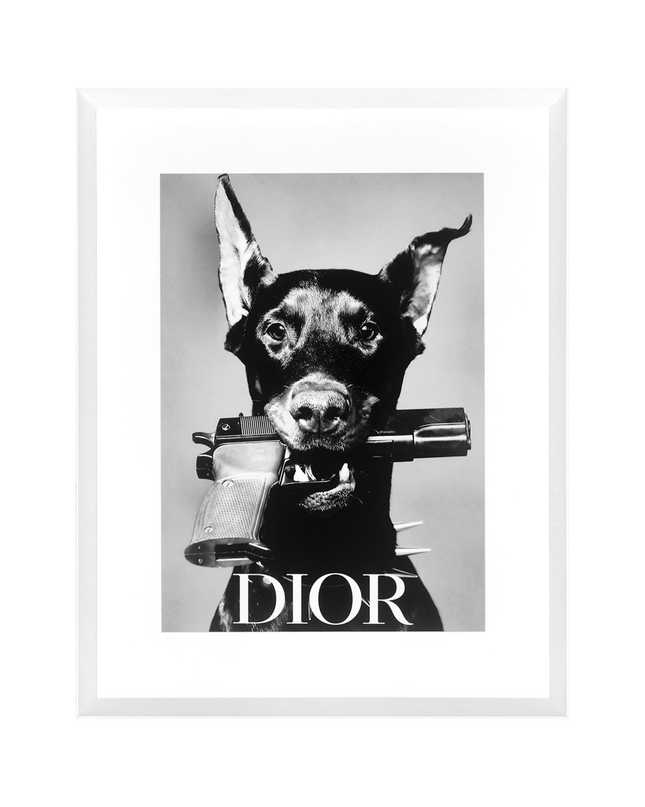 Dior Dog