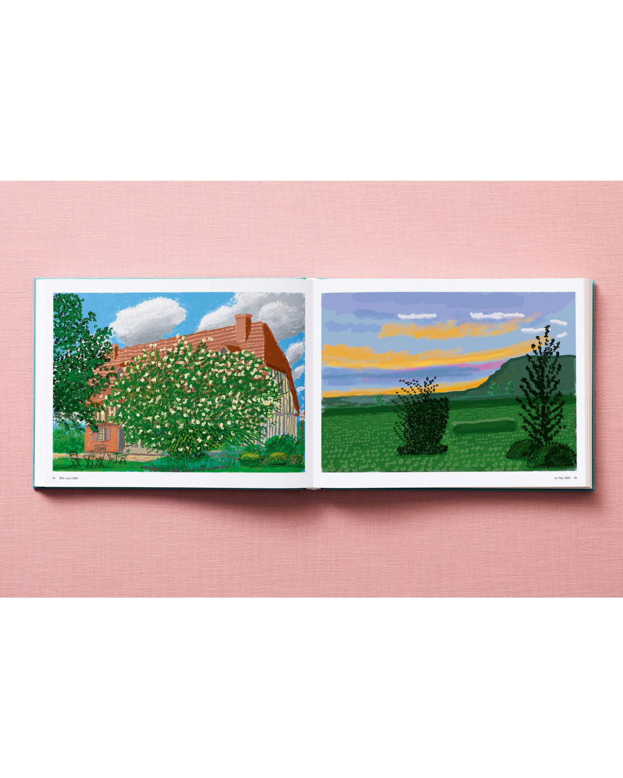 David Hockney. 220 for 2020