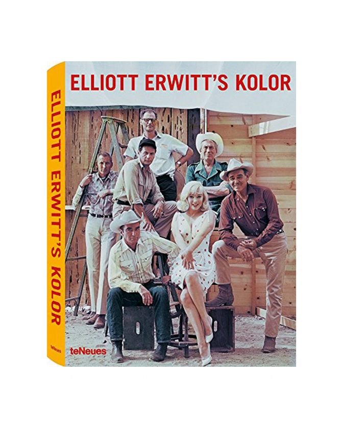 Elliott Erwitts Kolor OUTLET