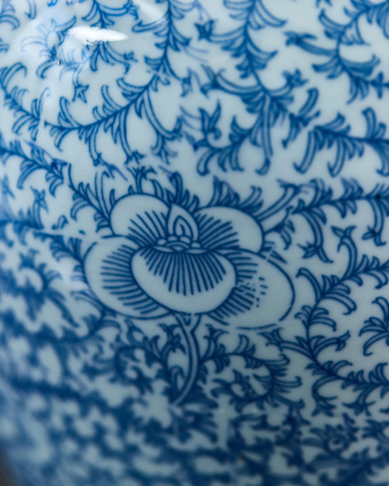 Leora ingefärskrus vit/blå