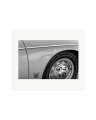 Speedster Print Only / Large