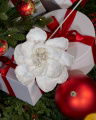 Magnolia Pearl Decorative Branch White