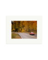 356 Porsche Print Only / Small