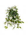 Impatiens Hawkeri Potted Plant White