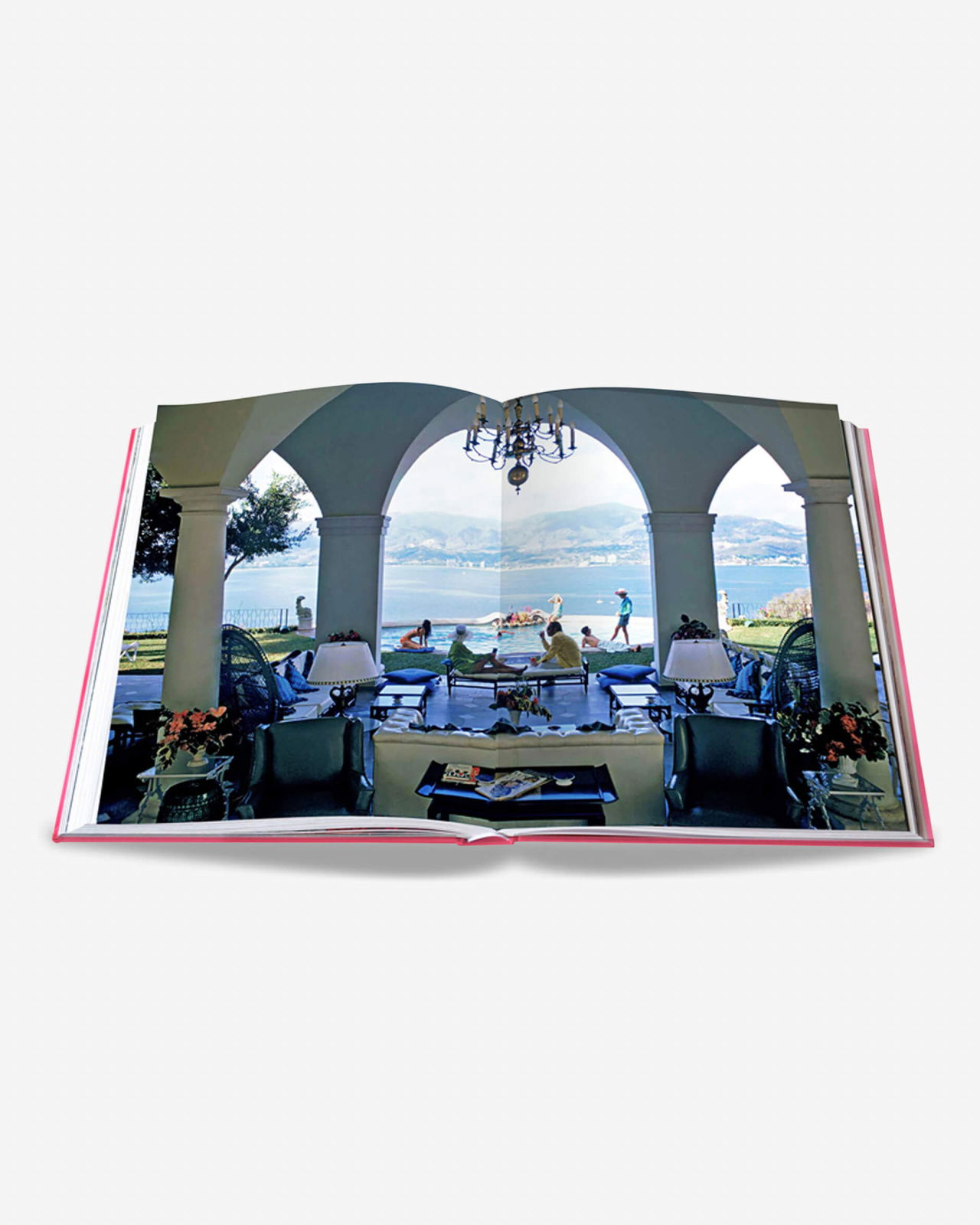 SWANS - Legends Of The Jet Society