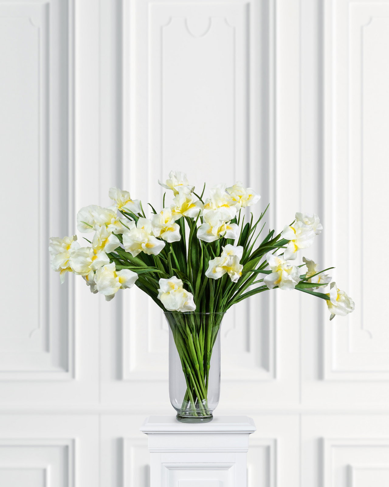 Iris snittblomma gul