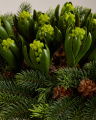 Hyacinth Artificial Plant Green