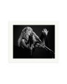 Stevie Nicks 1977 Print Only / Large