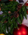 Sierra Spruce Sprig Cones