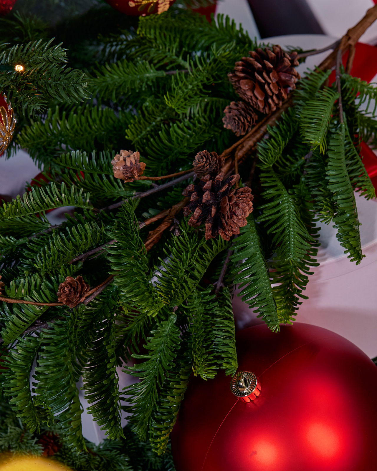 Sierra Spruce Sprig Cones