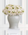 Hortensie Schnittblume Cream