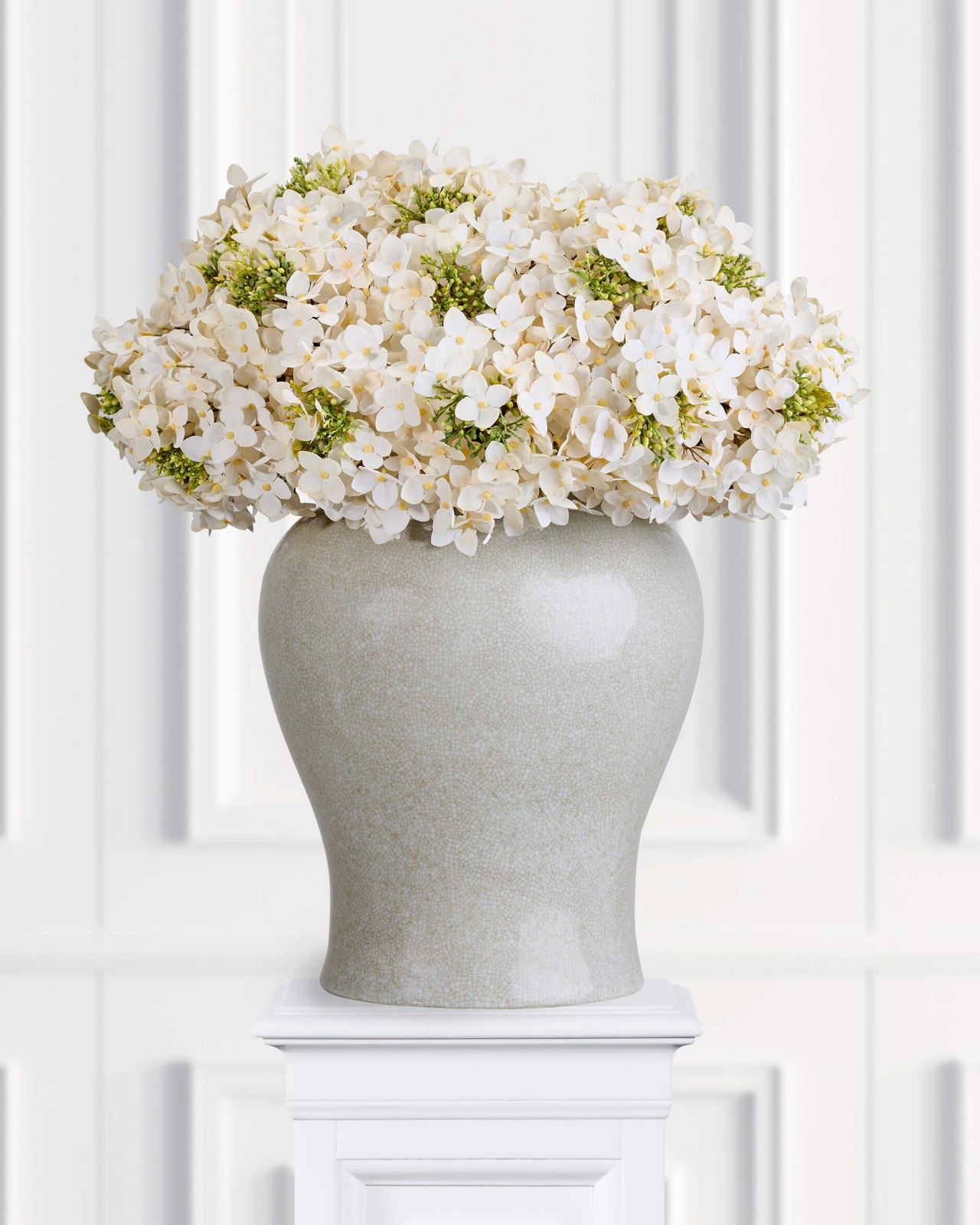 Hortensie Schnittblume Cream