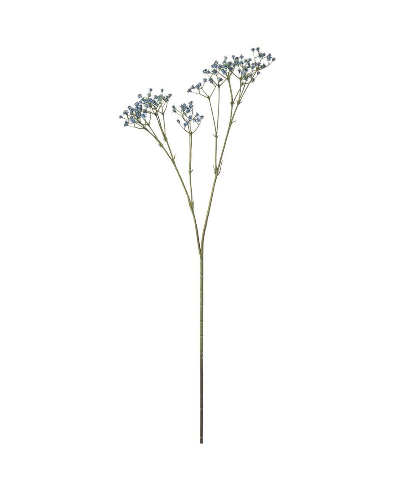 Gipskruid snijbloem blauw