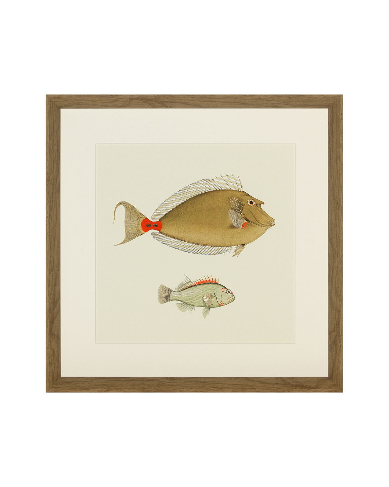 Fishes Set Of 4