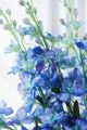 Delphinium snittblomma blå