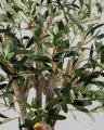 Artificial Olive Tree