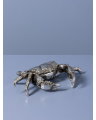 Harlow crab storage box in silver