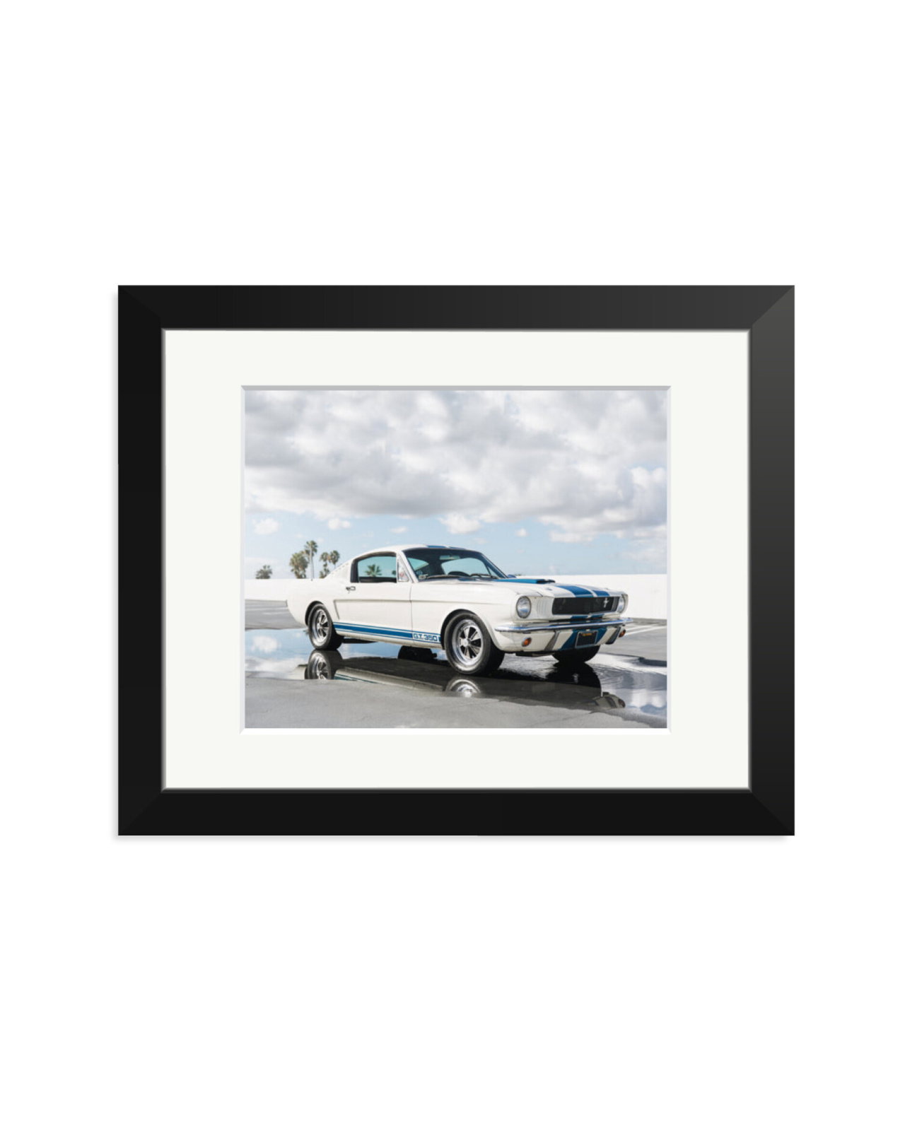 Ford Mustang Shelby GT350 Black / Small
