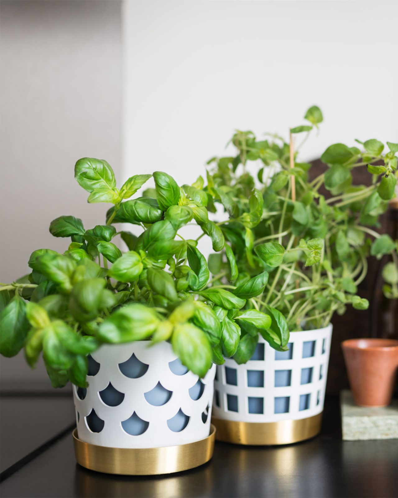 Trio flower pot checkered white