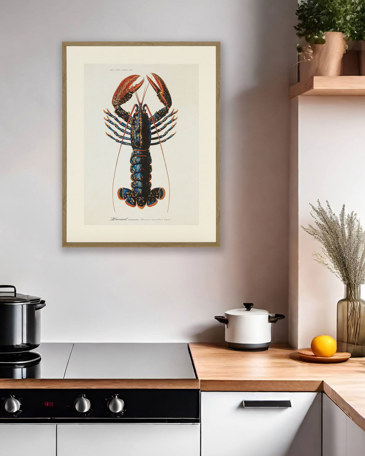 Lobster 1