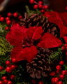 Eleanor kerstster kerstboomdecoratie rood