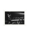 Bruce and his Audience Print Only / XXL
