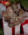 Lucetta Sprig Brown