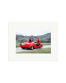 1988 Lamborghini Print Only / Small