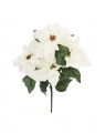 Christmas Star Bouquet White