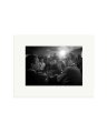 Caine at Cannes Print Only / Small