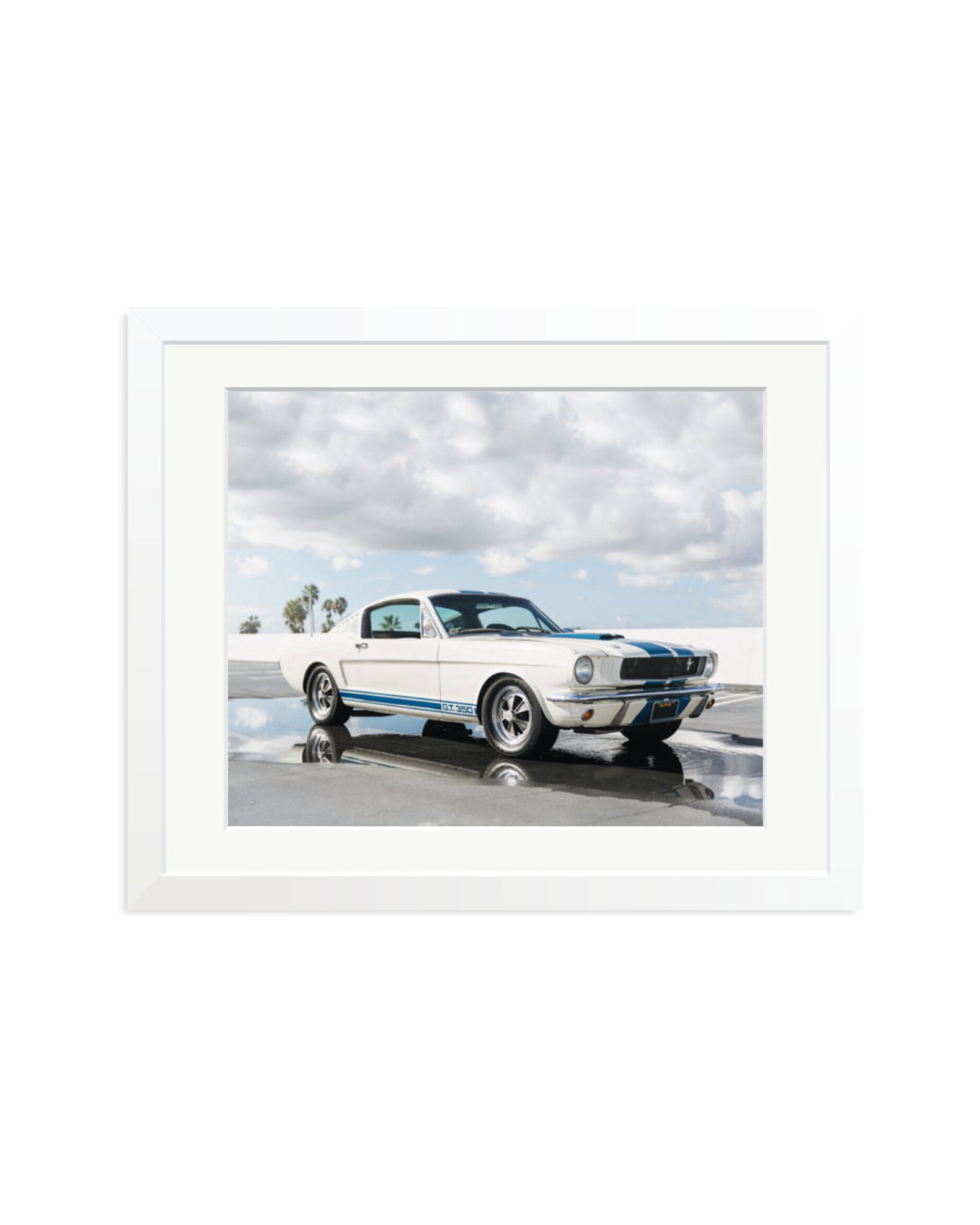 Ford Mustang Shelby GT350 White / Medium