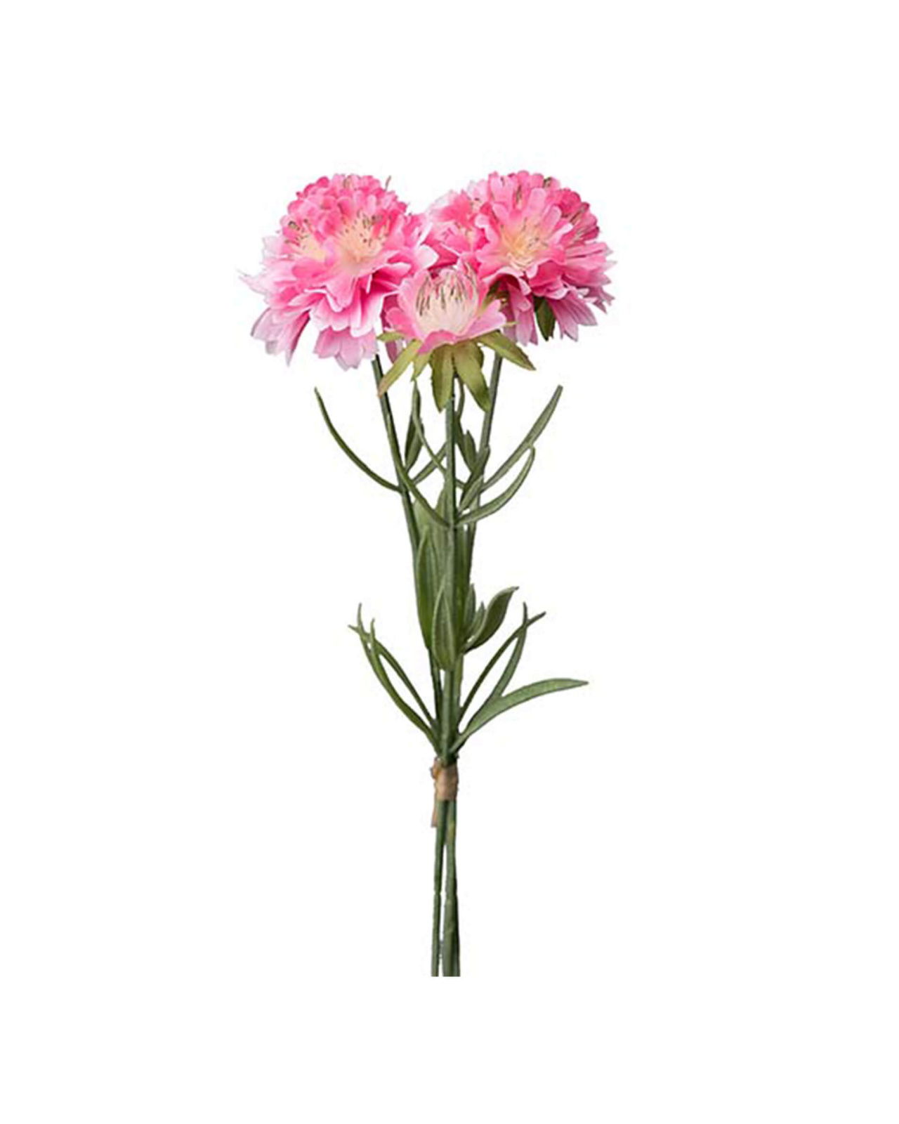 Scabiosa leikkokukka roosa OUTLET