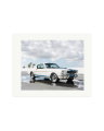Ford Mustang Shelby GT350 Print Only / XL