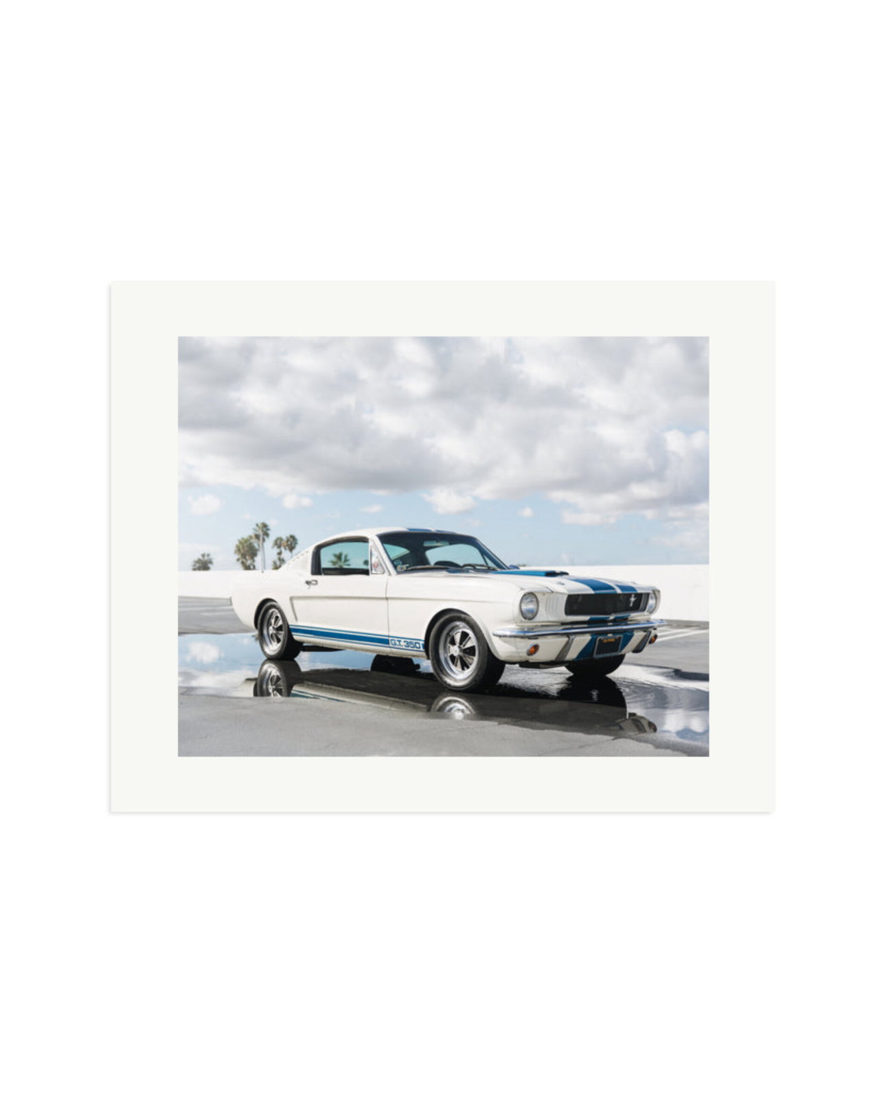Ford Mustang Shelby GT350 Print Only / XL