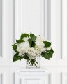 Hortensia – afskåret blomst i hvid