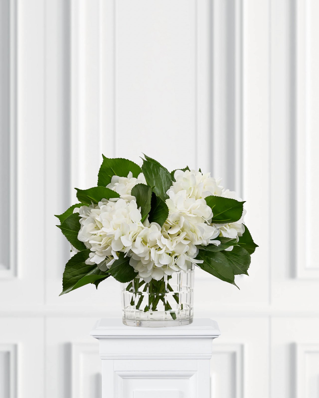 Hortensia – afskåret blomst i hvid