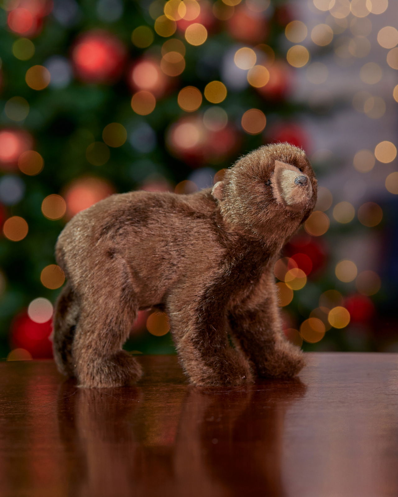 Constantin Bär Dekoration