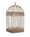 Loretta Birdcage Champagne