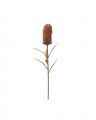 Banksia  Faux Flower Brown OUTLET