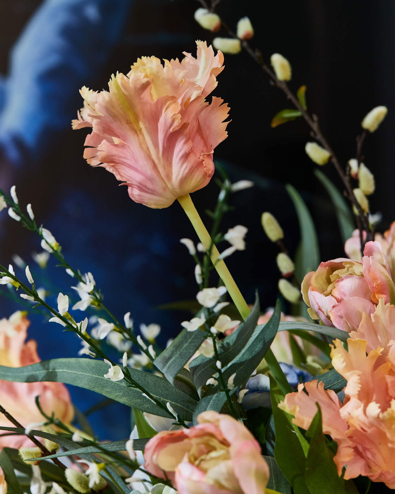 Parrot Tulip Cut Flower Pink
