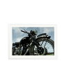 Vincent Black Shadow White / XXL