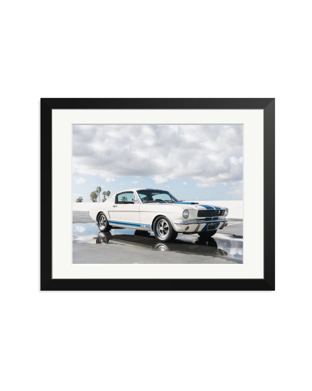 Ford Mustang Shelby GT350 Black / Medium