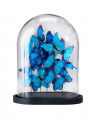 Noves Butterfly Dome Blue