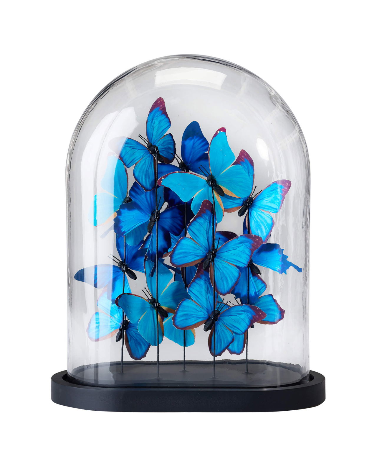 Noves Butterfly Dome Blue