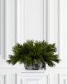 Green pine sprig cut flower, 58 cm