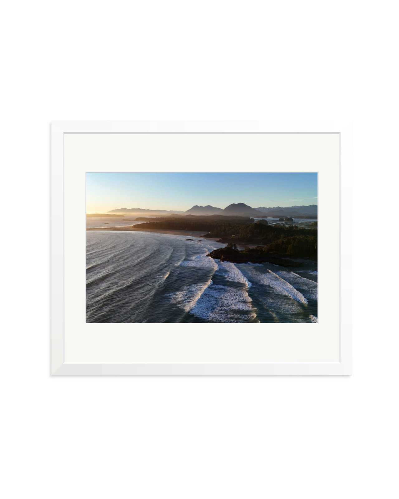 Pacific Swell White / Large