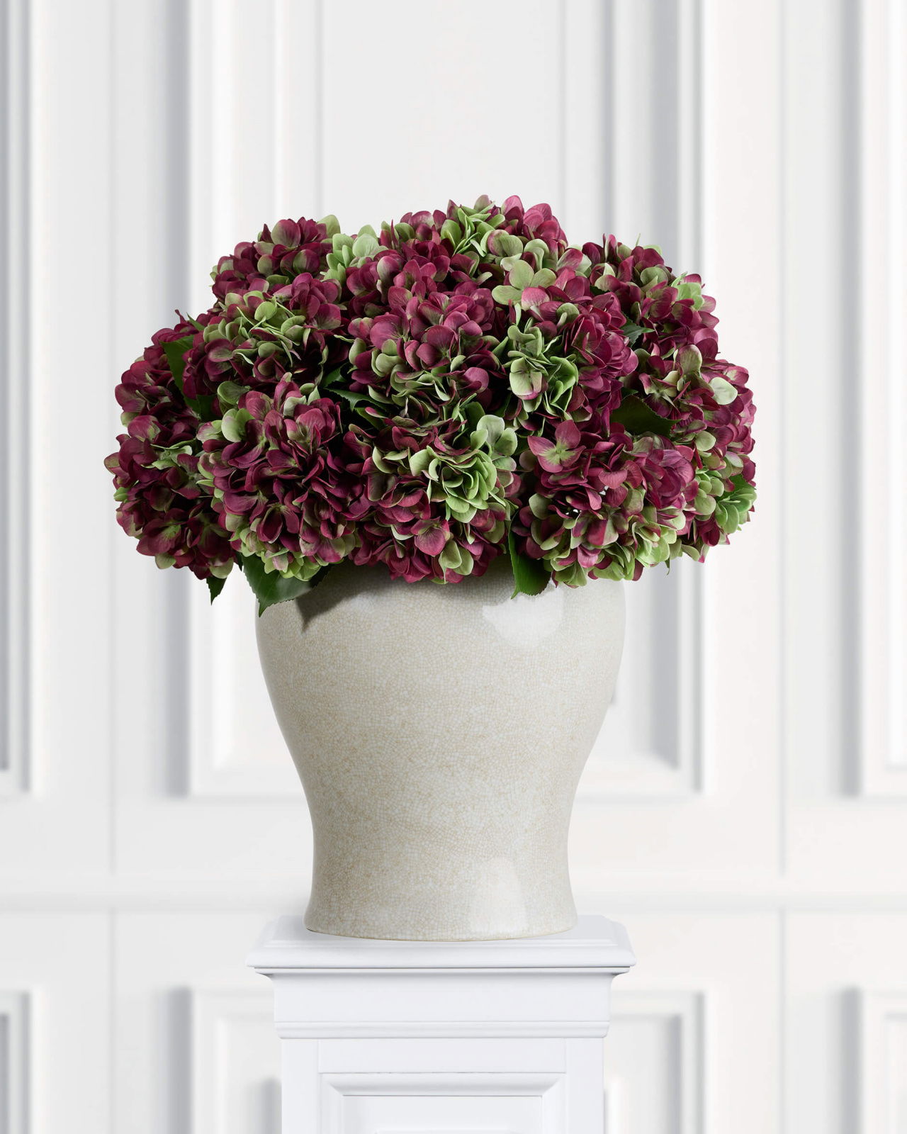 Hydrangea Cut Flower Burgundy/Green